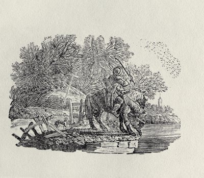 Ein Reiter, abgelenkt von einem Vogelschwarm von Thomas Bewick